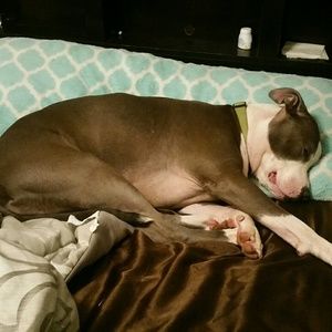 Meet your Posher, Ken